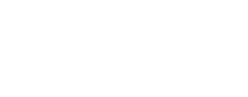 JUST Santa Maria da Feiras logotyp