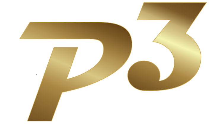 P3 By Marina logo