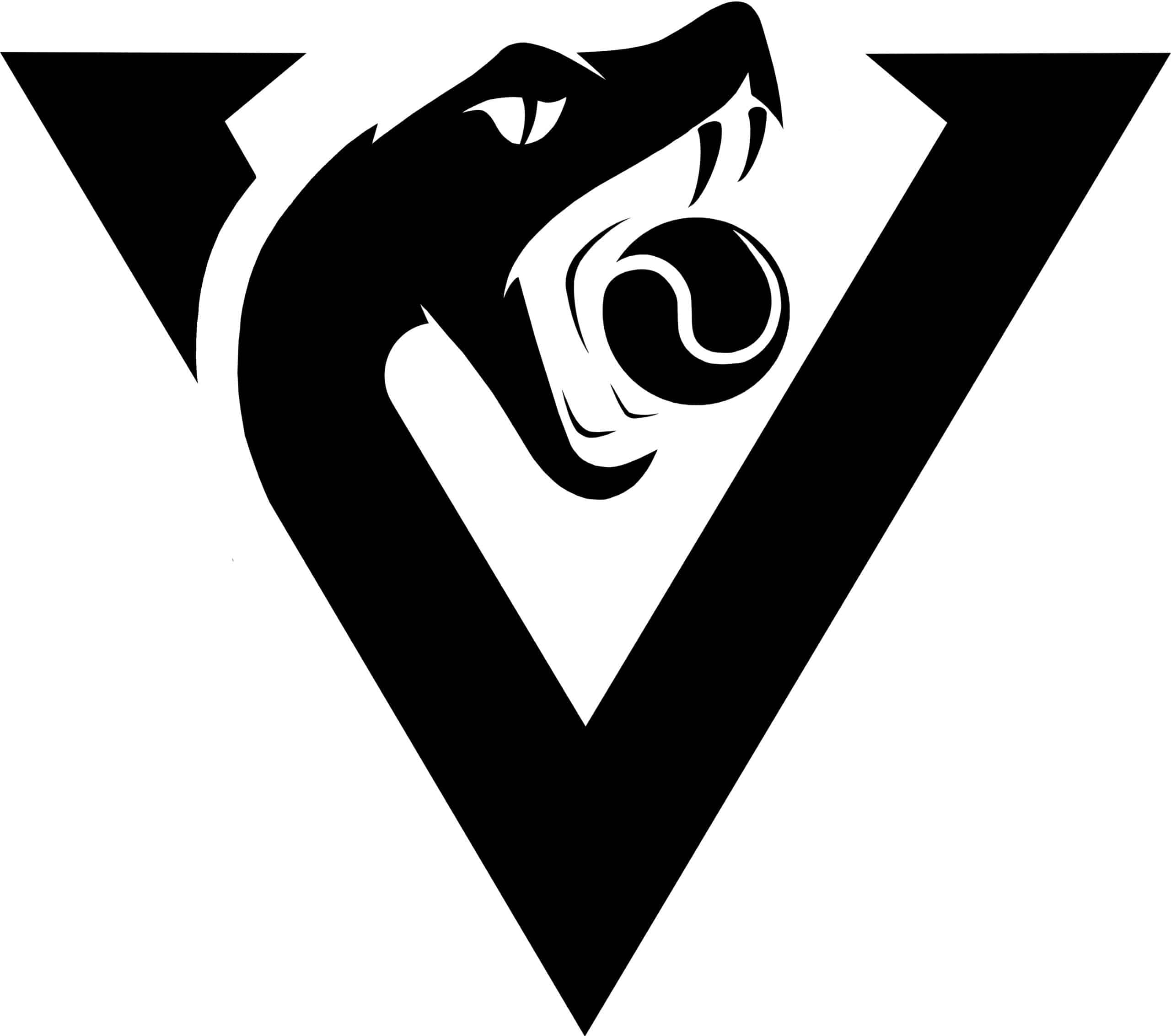 Vip Padel logo