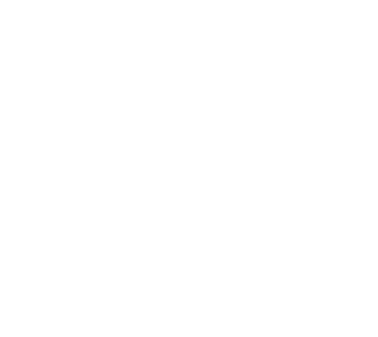 Family Sport Centers logotyp