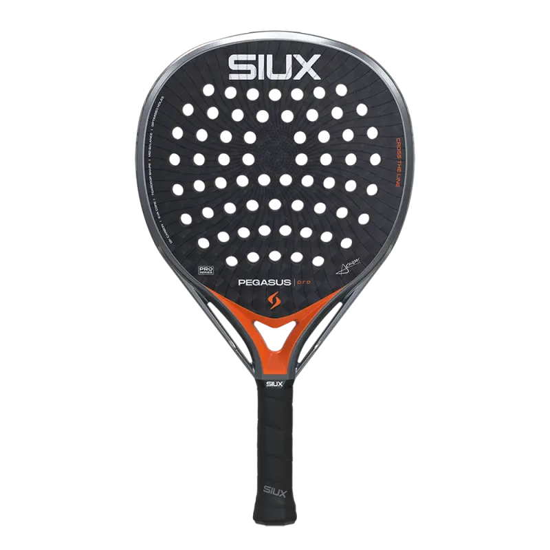 Siux Pegasus Pro 2026