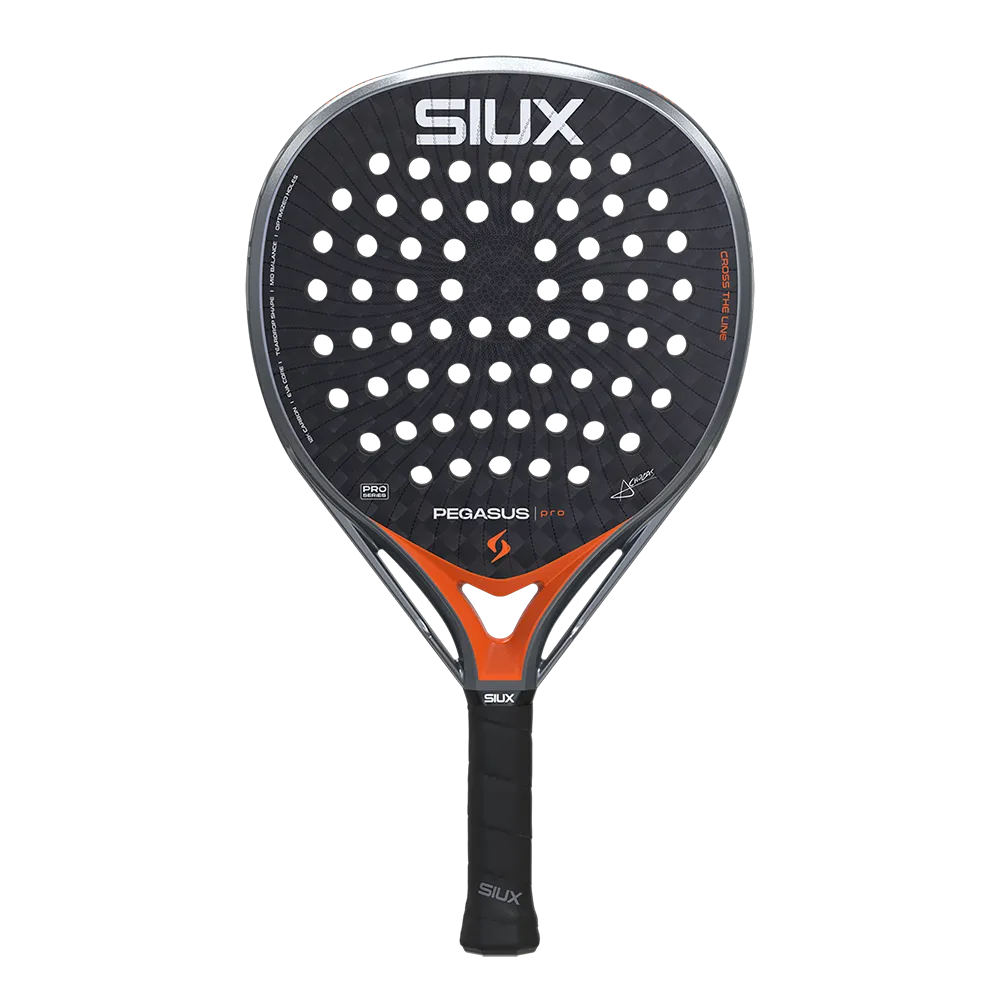 Siux Pegasus Pro 2026