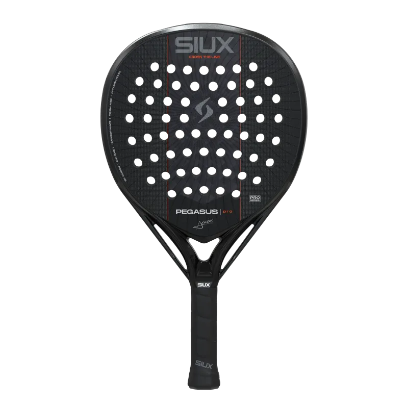 Siux Pegasus Pro 2027